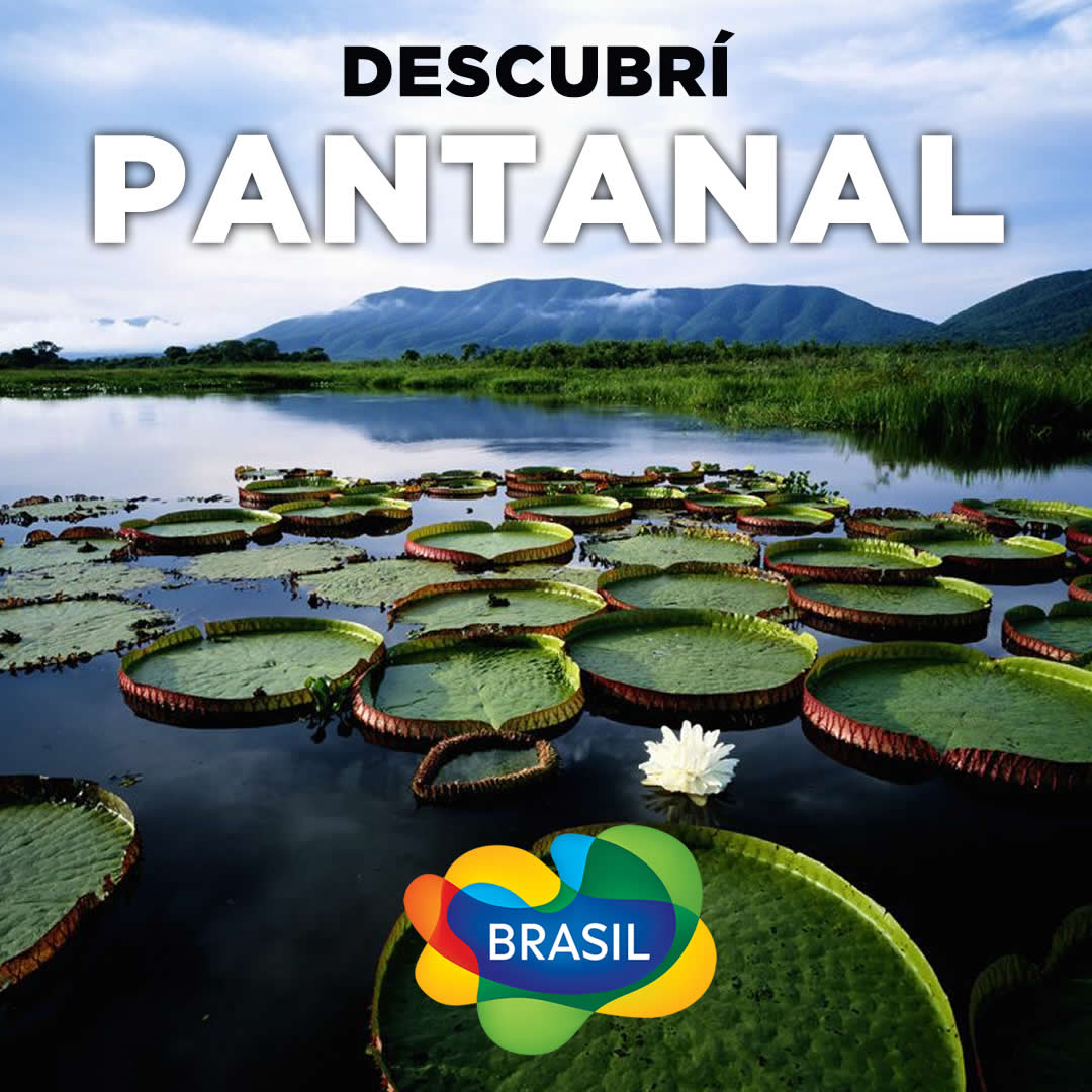 Pantanal